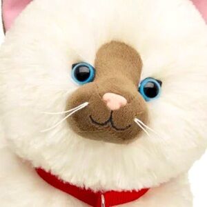 Welcome to my Poshmark!